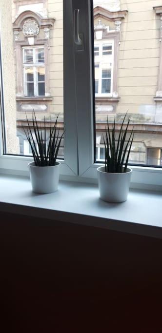 克拉科夫Zachod Slonca Nad Wisla公寓 外观 照片
